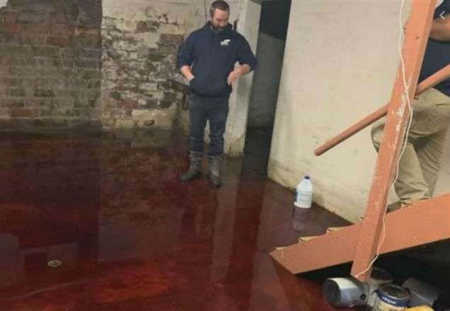 Porão é inundado de sangue nos EUA