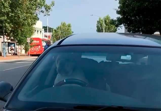 Cachorro sentado no banco do motorista dentro de um carro