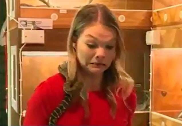Repórter se assusta no momento em que uma cobra, que está em seu ombro, ataca o microfone