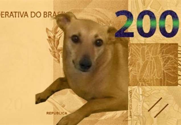 Vira-lata caramelo na nota de 200