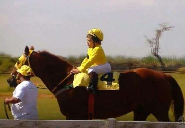 Nico montado no Dourado durante a competição