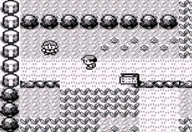 Screenshot de Pokémon Red