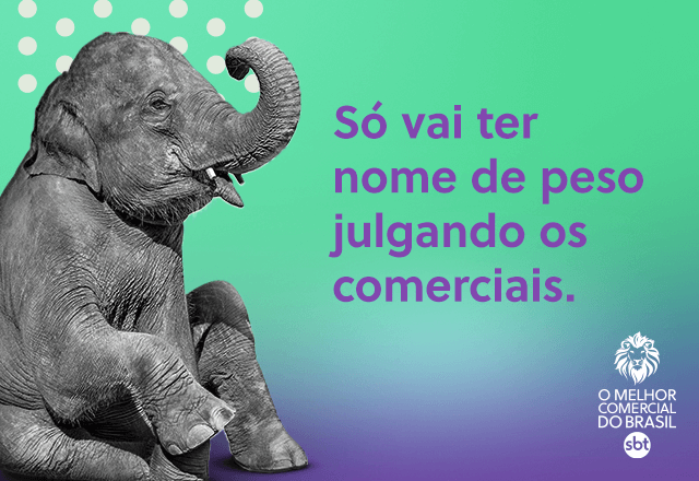 Elefante sentado