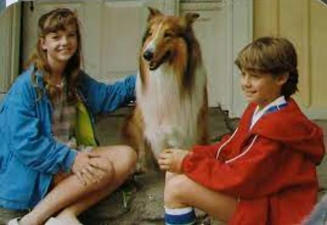 The New Lassie