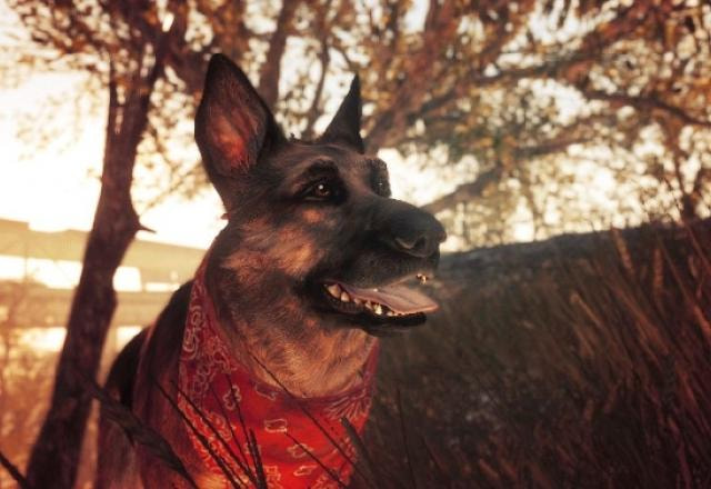 Imagem de Dogmeat, companion de Fallout 4 inspirado em River