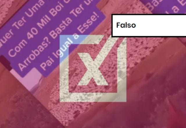Projeto Comprova/Divulgação
