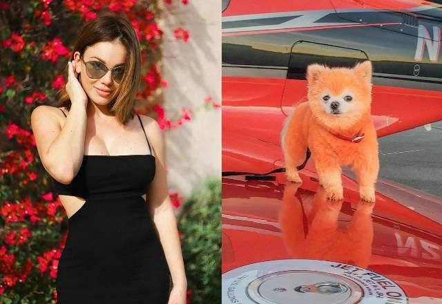 Modelo da Playboy Anna Stupak à esquerda; cachorro laranja à direita