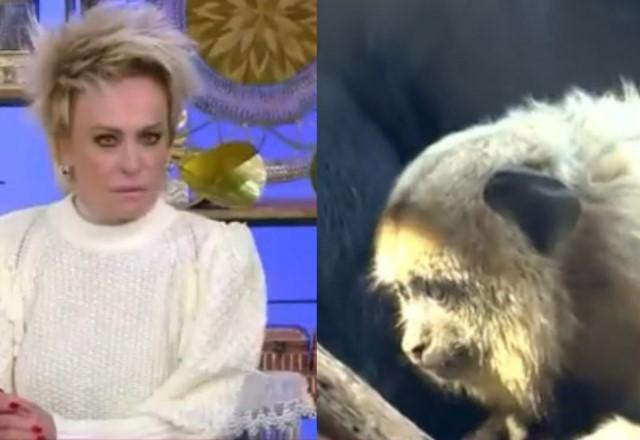 Ana Maria Braga com cara de série à esquerda; Imagem de macaco mostrada durante programa