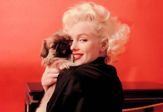 Marilyn Monroe com um cachorro nos braços