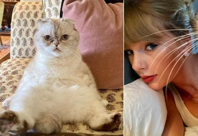 taylor swift e olivia benson
