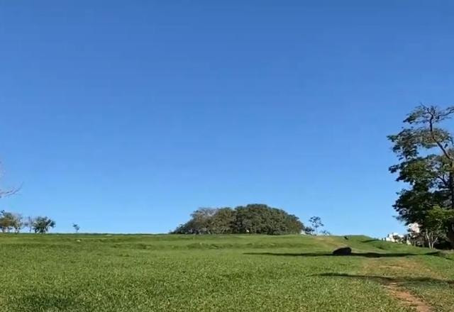 A febre maculosa tem duas vítimas