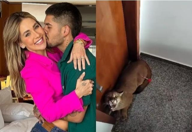 Virginia recebe um beijo de Zé Felipe à esquerda; Onça encontrada em condomínio à direita