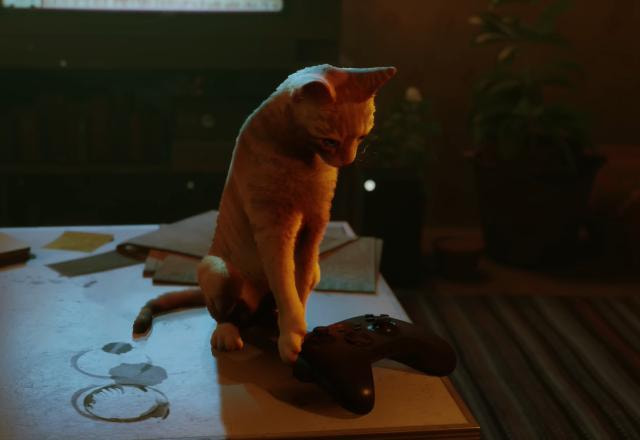Imagem promocional de Stray no Xbox