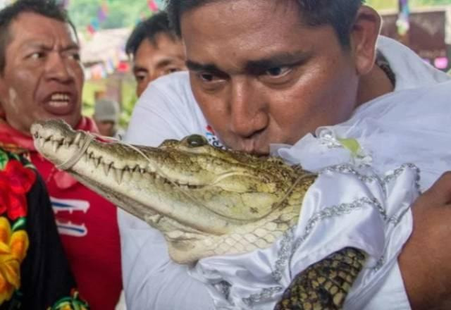 Prefeito dá um beijo em jacaré vestido de noiva