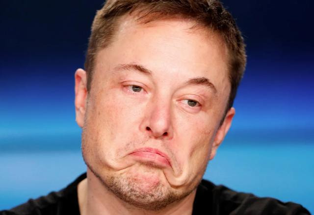 Elon Musk Valorant