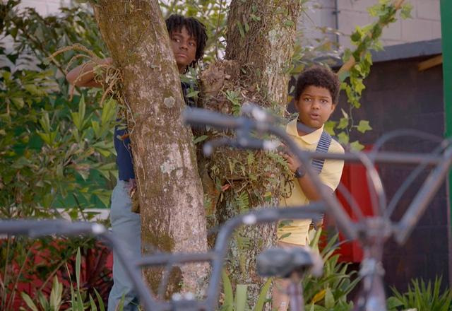 nando e romeu se escondendo atrás de uma árvore