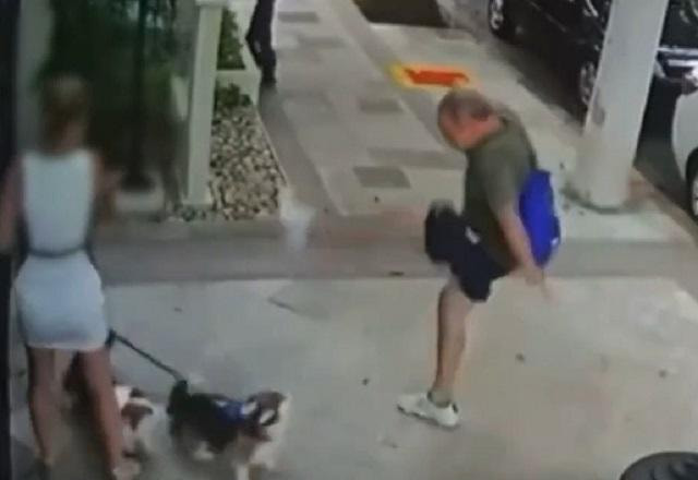Homem desferindo chute contra cachorro (Reprodução/Primeiro Impacto)