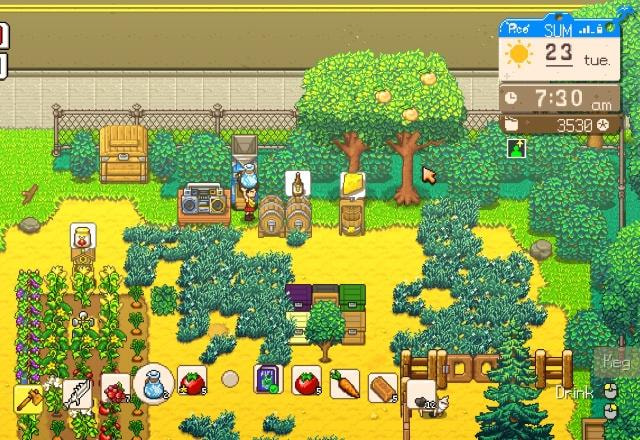 stardew valley