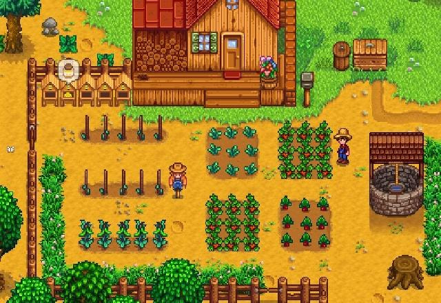 stardew valley
