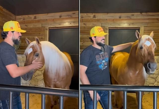 Montagem com fotos do cantor Sorocaba com seu cavalo premiado Chico Whiz, em nova cassa construída para o cavalo