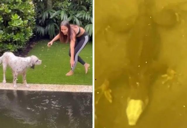 Montagem com fotos de Anitta e seu cachorro e ao lado a foto de uma iguana no fundo de sua piscina