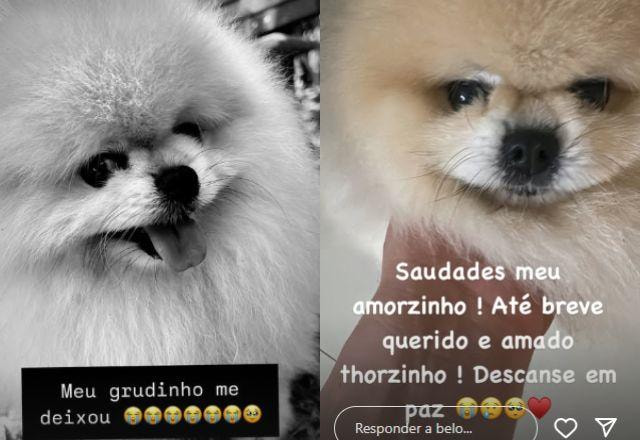 Cachorro Thor de Belo e Gracyanne falece