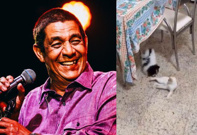 Zeca Pagodinho e gata branca desaparecida
