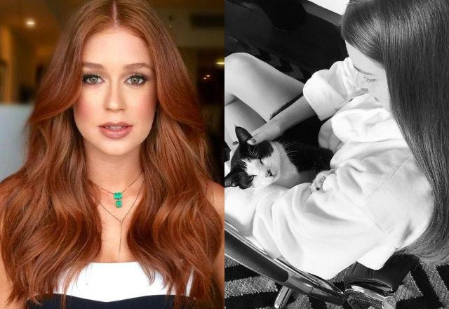 Marina Ruy Barbosa faz apelo para encontrar gato desaparecido no Rio
