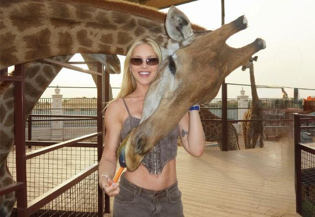 Virginia come carne de camelo em Dubai, descobre preço do jantar e se choca