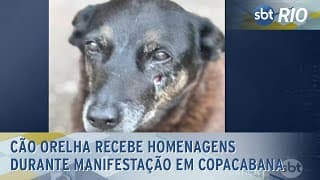 Cão orelha recebe homenagens durante manifestação em Copacabana Cão orelha recebe homenagens durante manifestação em Copacabana