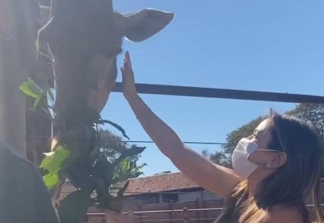 Patricia Abravanel, Fabio Faria, Pedro, Jane e Senor